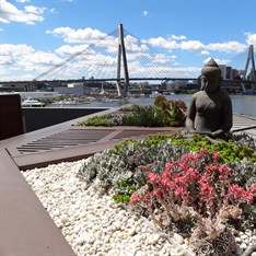 Rooftop Garden - Glebe