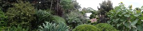 DSC03576