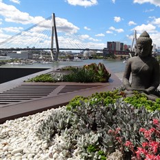 Rooftop Garden  - Glebe