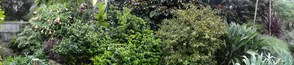 DSC03577