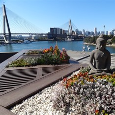 DSC04310