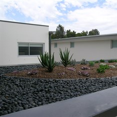 DSCN3153.JPG