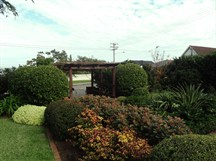 DSC04411