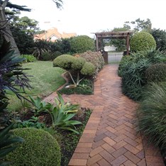 Clay Brick Pavers