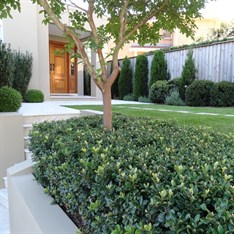 Formal Entrance - Northern Beaches