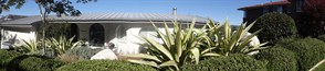 DSC04207